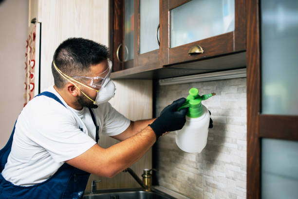 Best Local Pest Control Services  in Roswell, NM