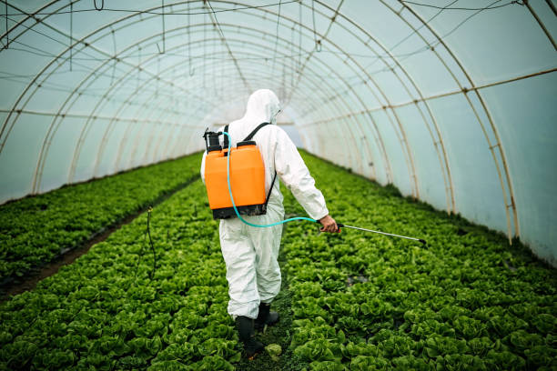 Best Affordable Exterminators  in Roswell, NM