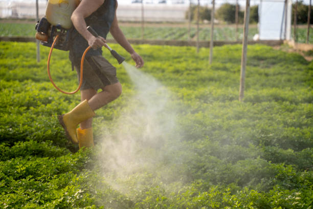 Professional Pest Control in Roswell, NM