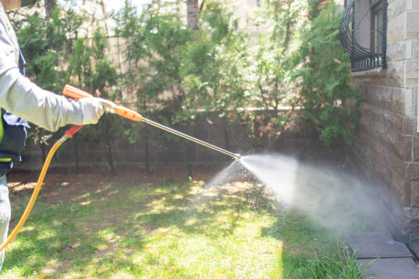 Best Termite Control Services  in Roswell, NM